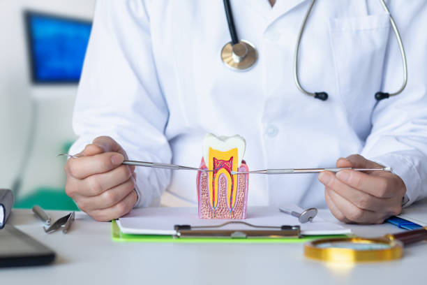 Best Emergency Dental Care for Broken or Chipped Teeth in Wytheville, VA